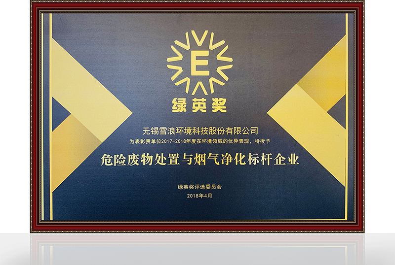 危廢處置與煙氣凈化標(biāo)桿企業(yè)